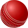 cricket ball Image